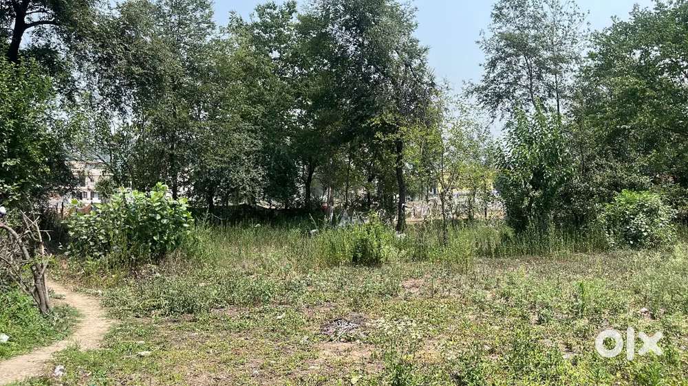 5 Biswa Land for Sale