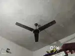 Ceiling fan
