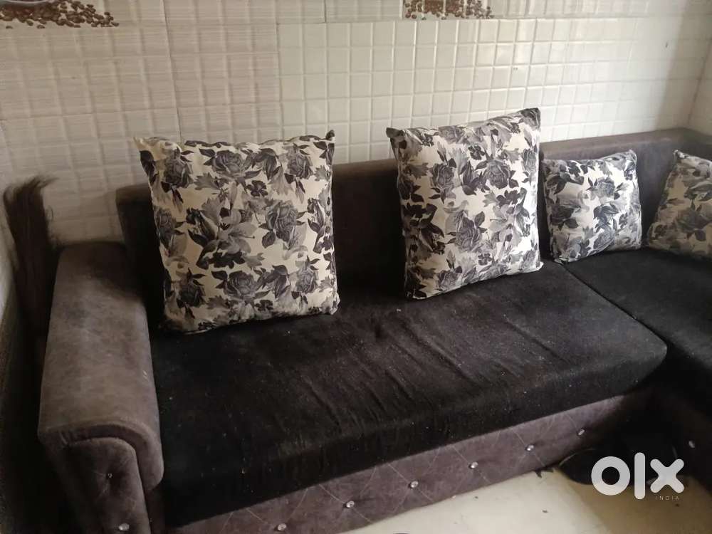 Sofa with cushion