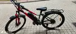 Electric cycle