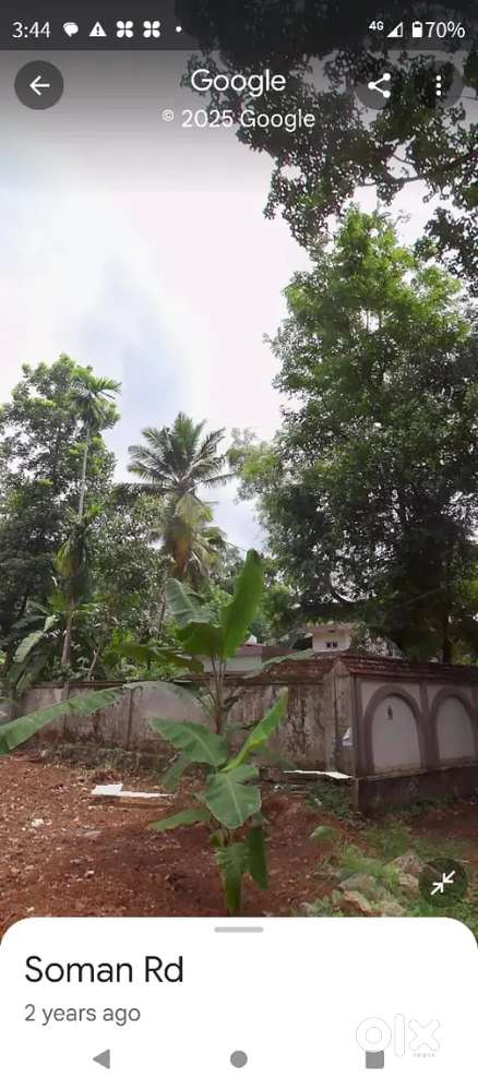 നെടിയവിള ജംഗ്ഷൻ  സമീപം വസ്തു വിലപ്പനയ്ക്ക്