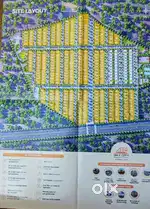 Plot sales with primium