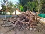 நாட்டு விறகு விற்பனைக்கு
