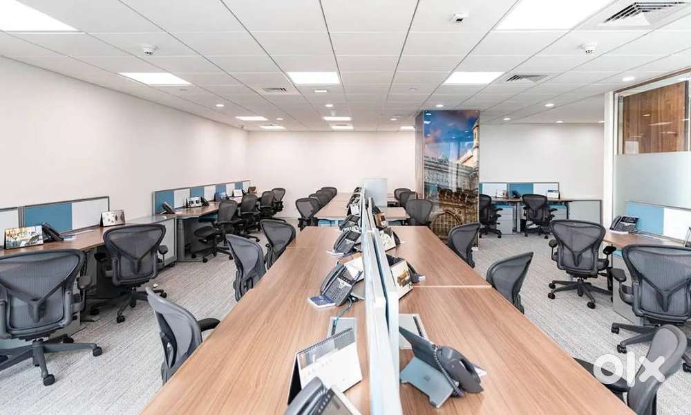 HR Executive, Admin assistance