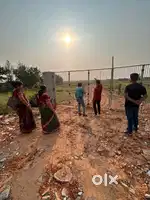 Palm valley( malatipatpur)