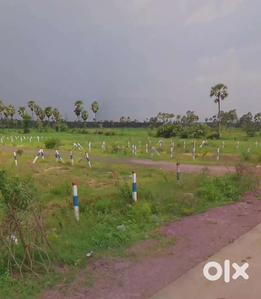 Punyakshetram and Pathanamavaram road