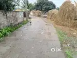 পাঁচ শতক জমি