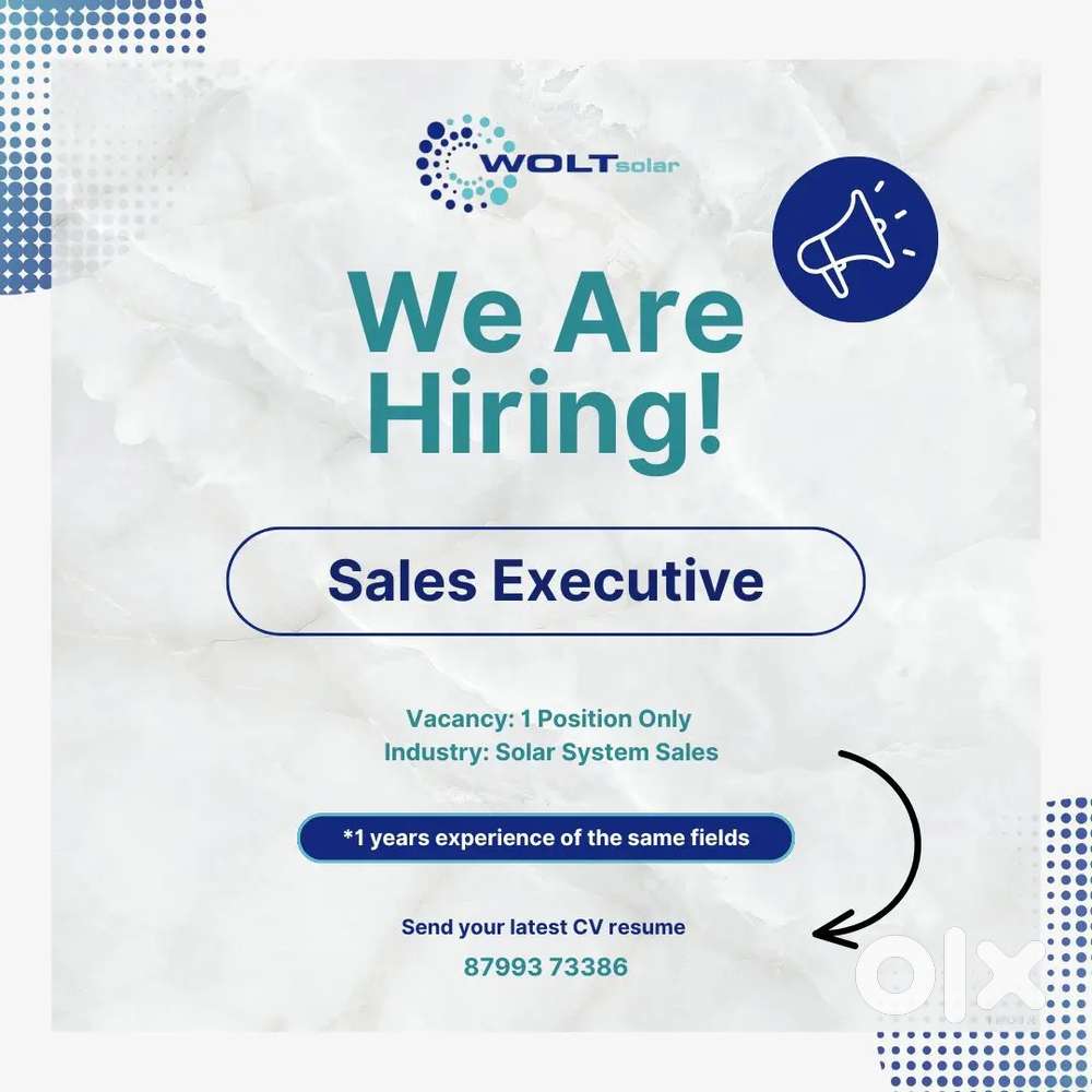 Sales Executive