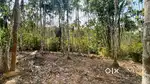 58 cent land for sale