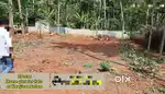 25 cent(12 ,7 ,5 cent) house plot for sale in chavadi ,KANJIRAMKULAM