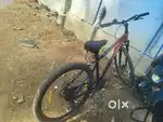 Cardiac Stinger X7 Bicycle – 7 Speed Gear, Dual Disc, 29”