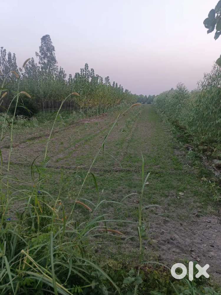 Paison ka bahut jarurat hai isliye bhej raha hun