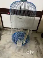 Bird cage Big
