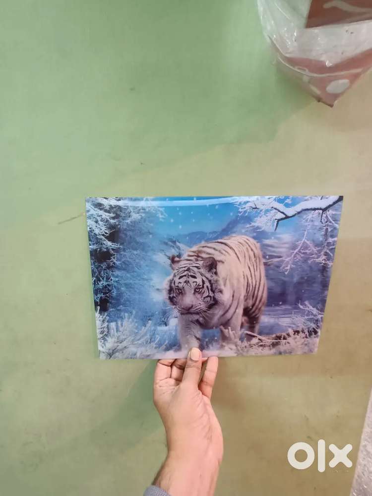 3D photo 13.5/9.5 patuli township