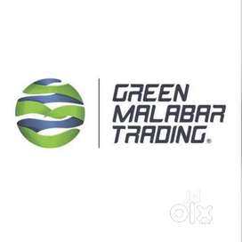 Sales Executive