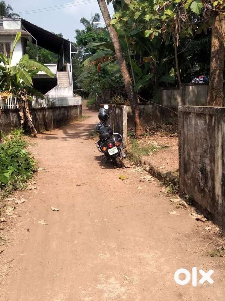 13 cent land with old house, frontage of coconut thoppu at Koratty