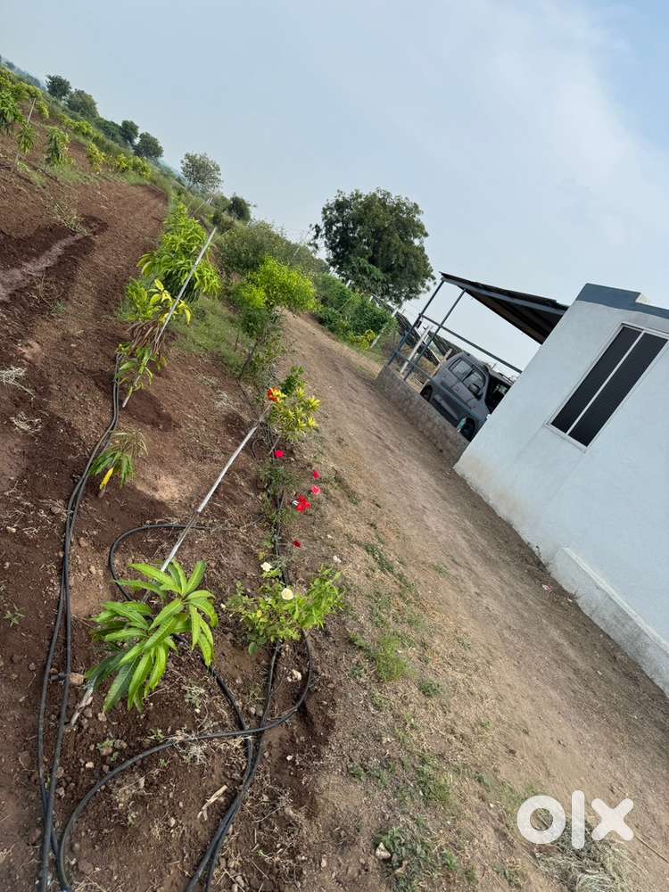 Agriculture land available for lease or rent