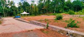 12 CENT HOUSE PLOT (LAND) FOR SALE PALLIKKARA, INFOPARK,PHASE 2 (II)