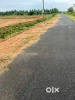 Land / Agriculture land