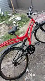 Popstar renger cycle