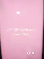 Collection executive