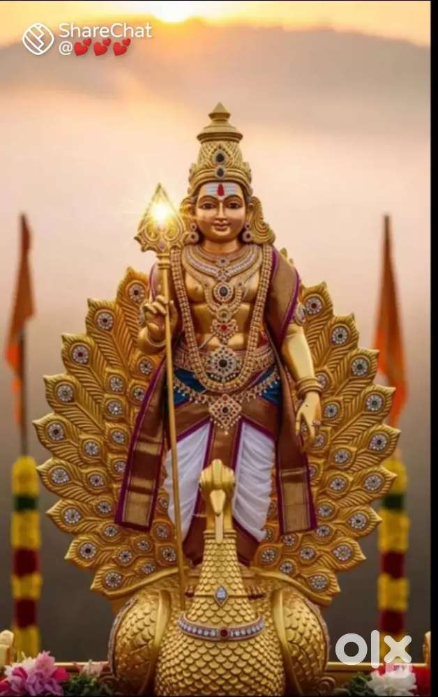 Briyani master & All rounder master and Supplier