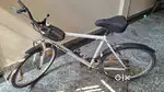 Decathlon cycle