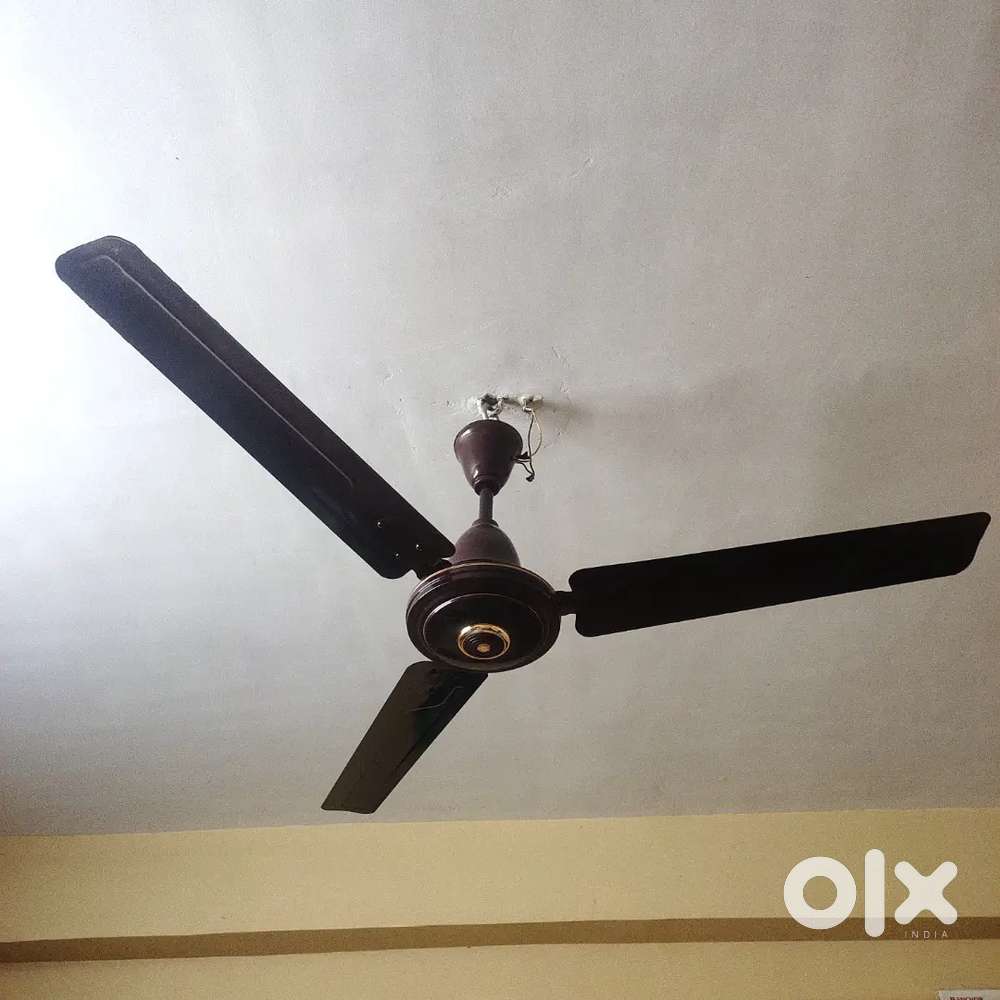Ceiling Fan