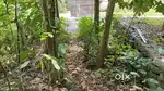 50 cent land at Cheenkalthadomm Pathanamthitta Kerala