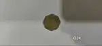 Very Rare Indian Coin 10 paise 1957