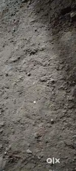 36 bigha demand 19 lakh bigha contact us for farming field