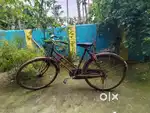Bicycle is on sale