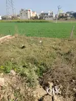 Baraut m plot h 51 gaj ka bda bijali ghar k picha kotana road baraut