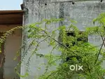 Singarayakonda DK PATTA ROOF HOUSE