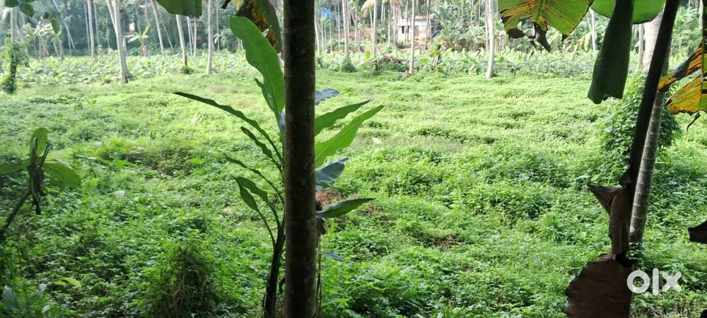 28 Cent Vayal for sale