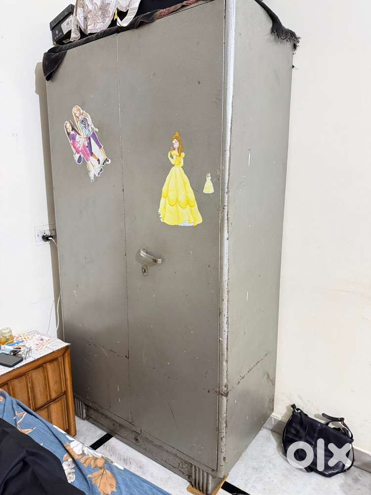 Godrej Almirah and Grain storage box