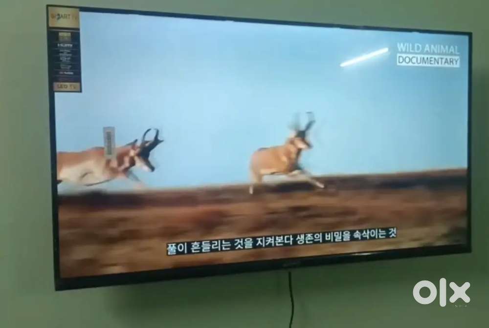 44 inch sony smart Android frameless oled 4k 3yr display waranty 15000