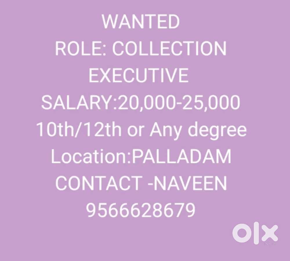 Collection Executive