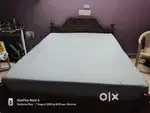 Wakefit Double cot bed