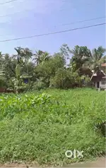 Plot for sale in Champakulam