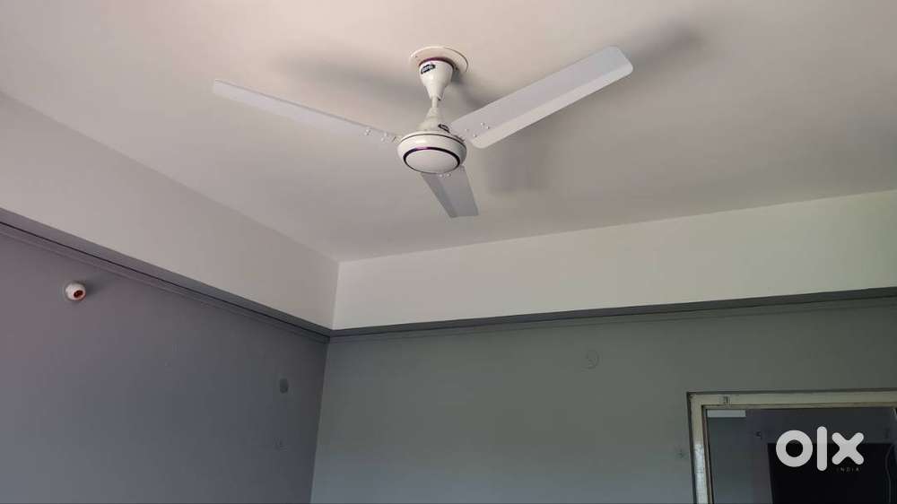 2 bhk flat for rent