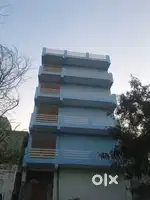 Co living PG in Noida sector 128
