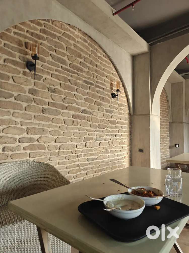 Indian/chinese/ conti/ tandoor chef job in greater noida west