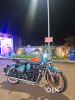 Brand new Goan Classic for sale
