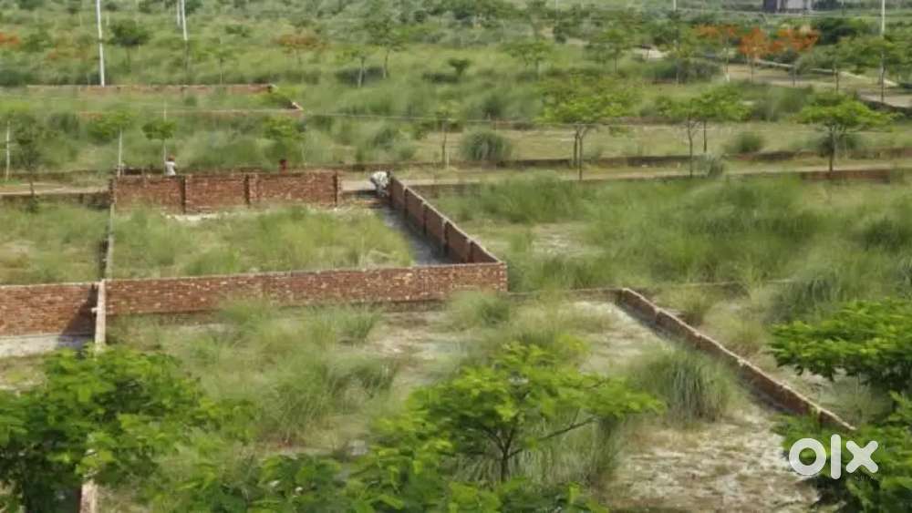 খুব সুলভ মূল্যে পুরনো এবং নতুন মদের লাইসেন্স বানানো হয়