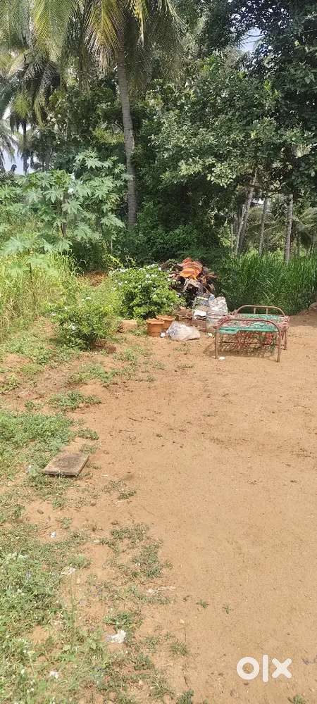 Nangavalli police station Main road near land for sale