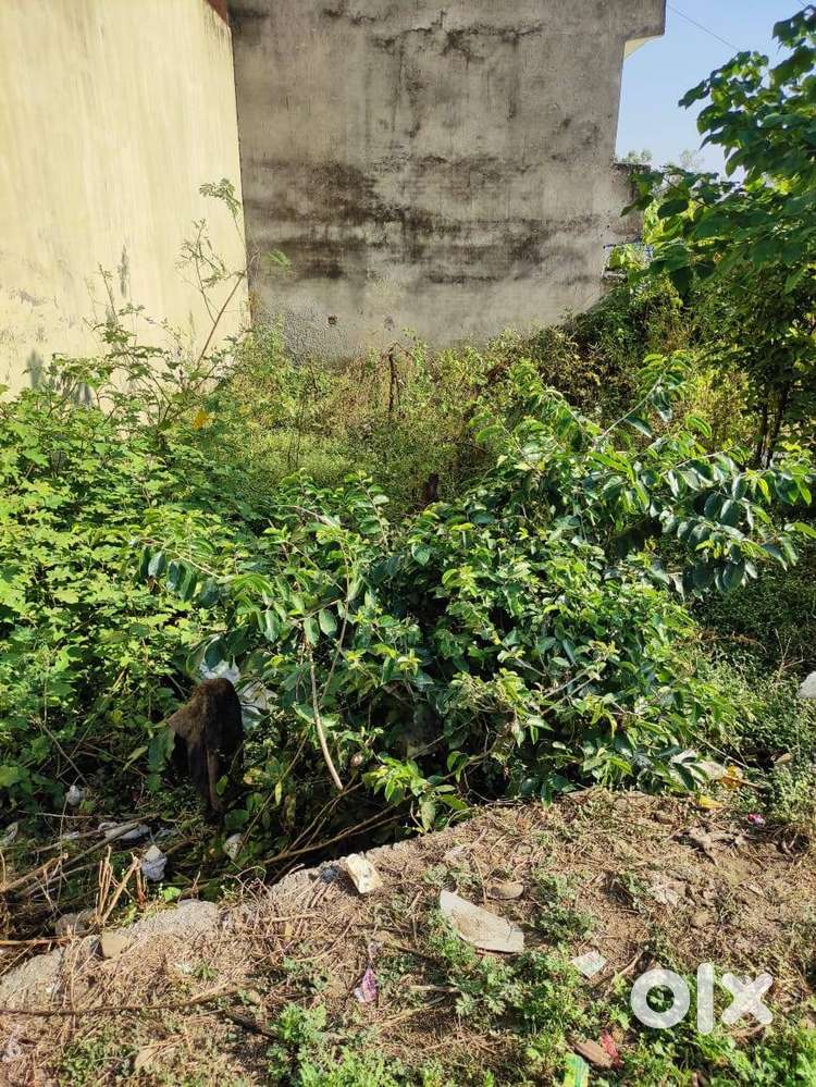 Urgent sell residential plot