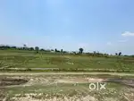 2000sqft Big Plot For Residential Or Business Purpose..Road Is Broad