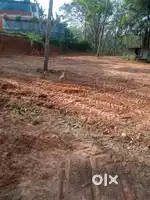 31 Cent Land in Valakom, Kottarakkara