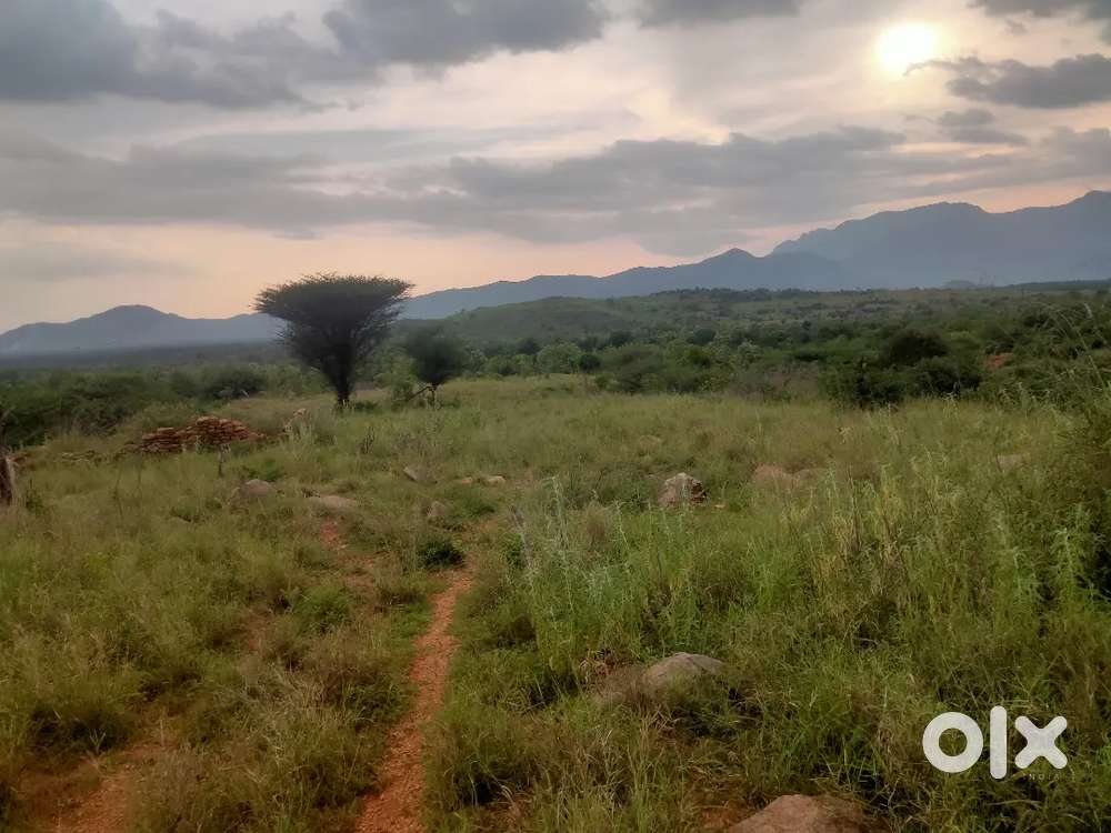 140 Acre vacant agriculture land for sale